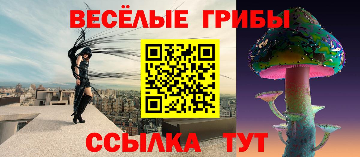 Галлюциногенные грибы Cubensis Алексин